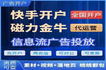 Sem优化公司案例：精准广告投放策略解析